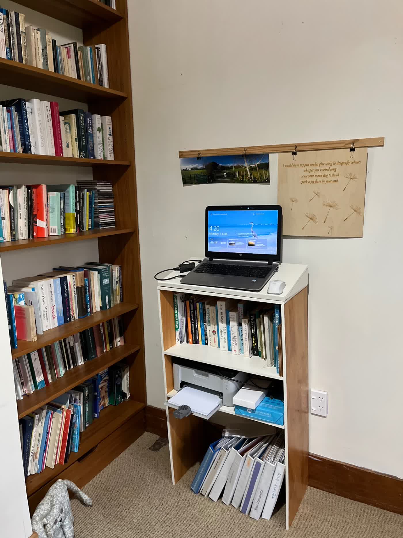 Study bookshelves with a laptop on a stand