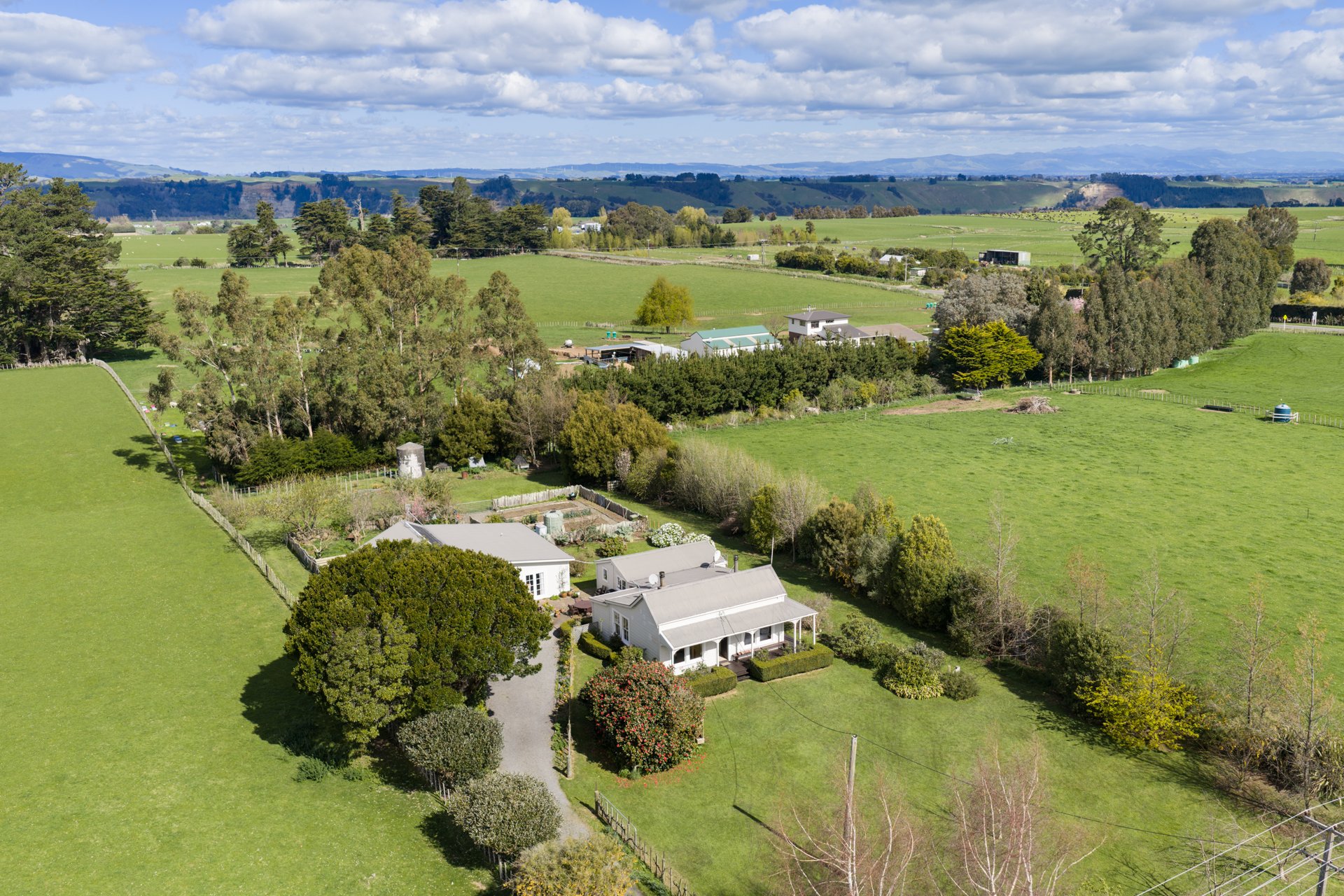 Aerial view of the land, shelter trees and surrounding farmland at 2114 Kimbolton Road, Kiwitea, Feilding