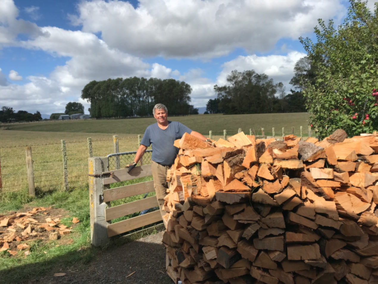 A stacked firewood pile with rolling paddocks behind