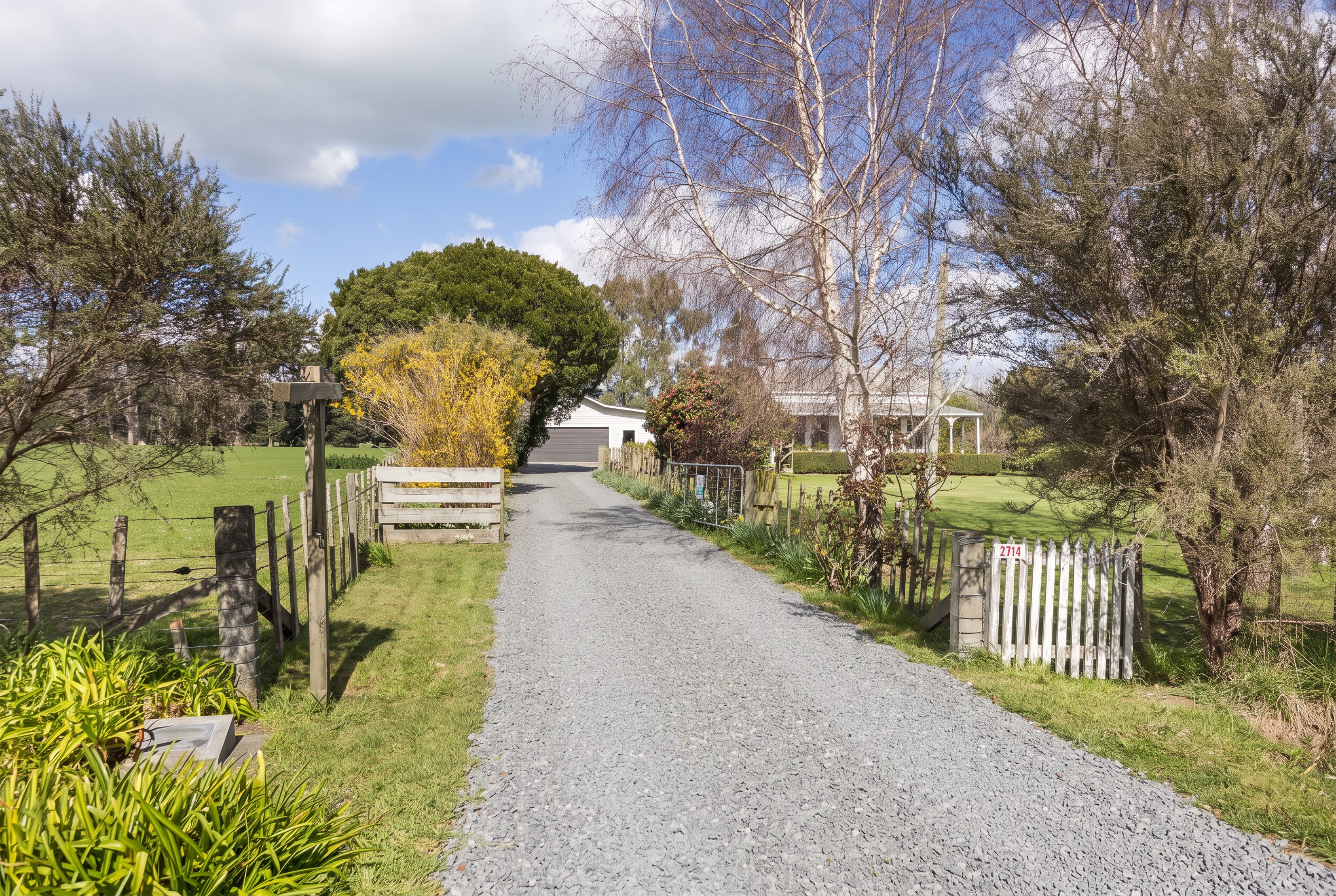 Tree-lined gravel driveway with shelter planting screening the property from the road